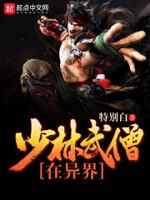 少林武僧异界行