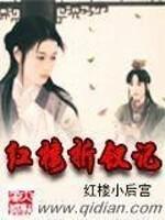 红楼折钗记女主角有多少